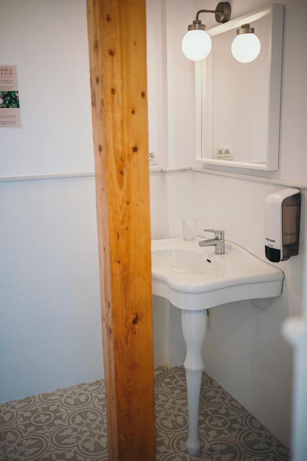 Nest Guesthouse ドロベタ＝トゥルヌ・セヴェリン エクステリア 写真